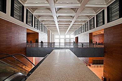 《星空》开发者：为了创造外星生命 我们做了大量工作