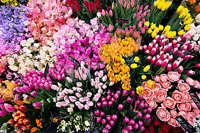 《蒸汽世界：建造》正式发售 综合评价“特别好评”